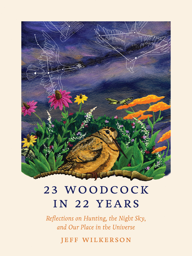 23 Woodcock
