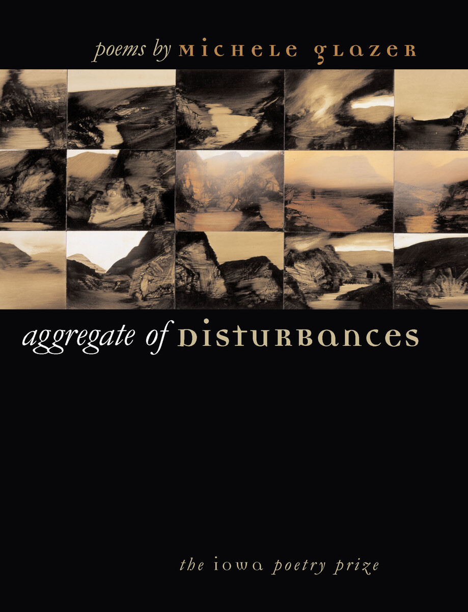 Aggregate of Disturbances book cover