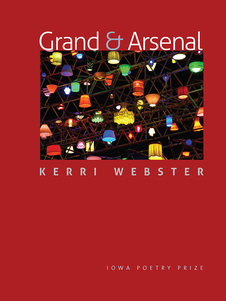 Webster book cover
