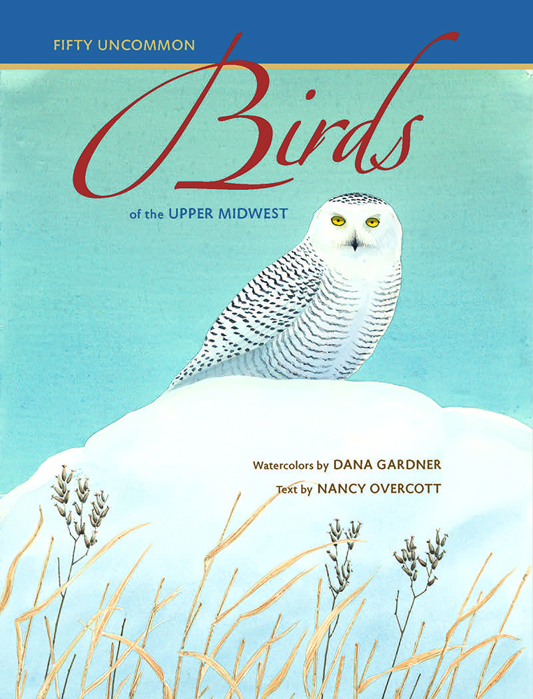 Fifty Uncommon Birds of the Upper Midwest book cover