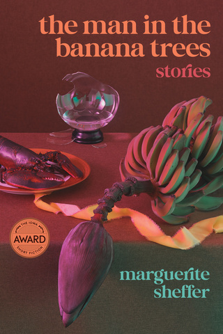 ShefferHRCover.jpg?itok=4XVuKwvO