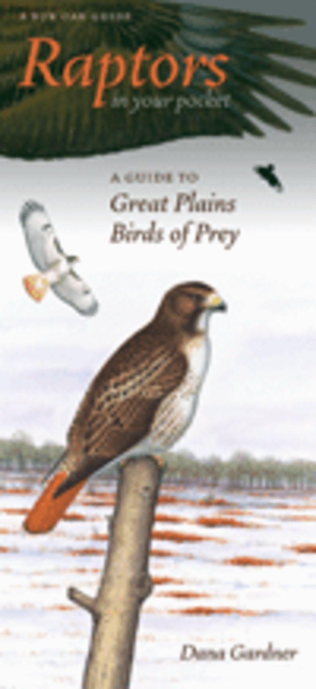 The Scientific Nomenclature of Birds in the Upper Midwest | University ...