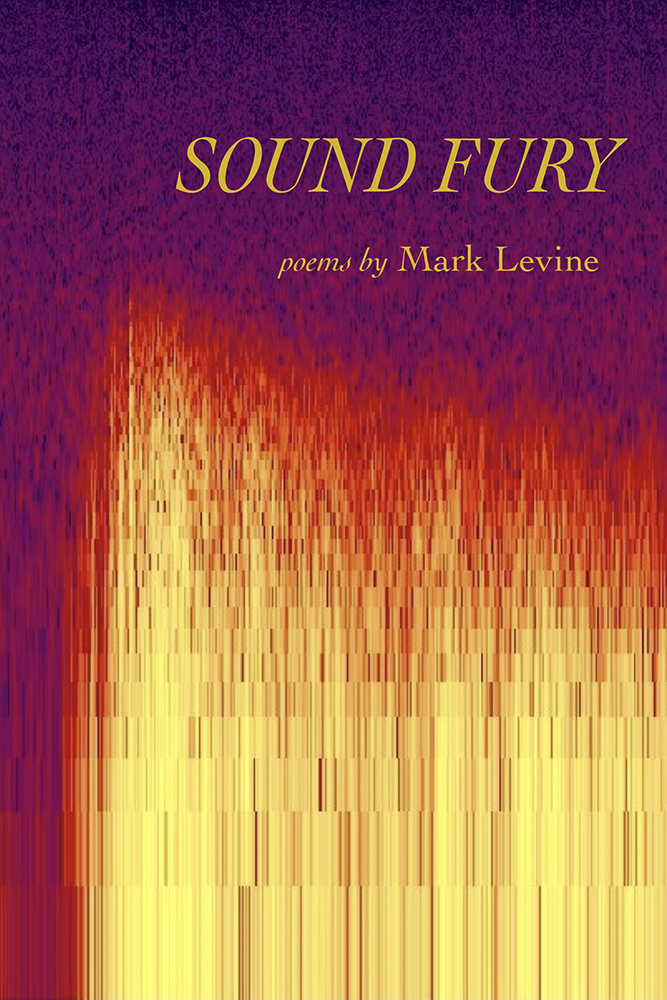 Levine book cover