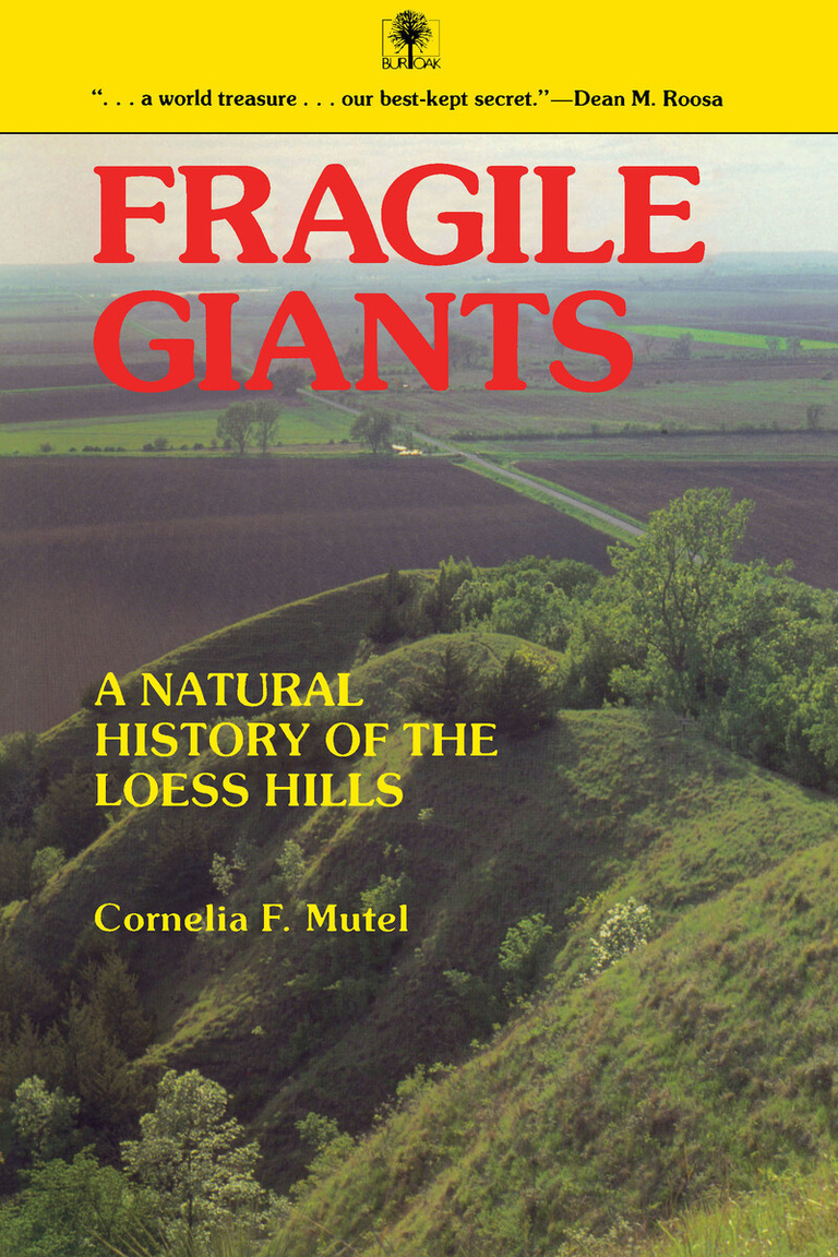 Fragile Giants book cover
