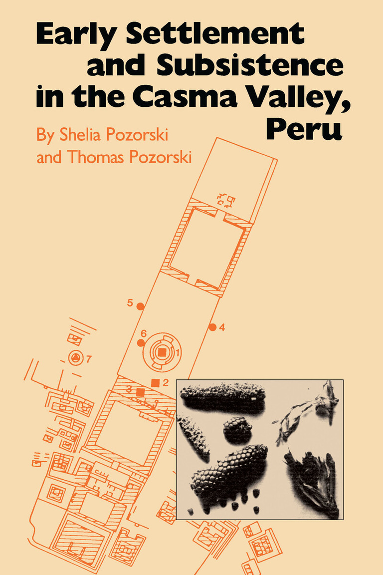Early Settlement and Subsistence in the Casma Valley, Peru book cover