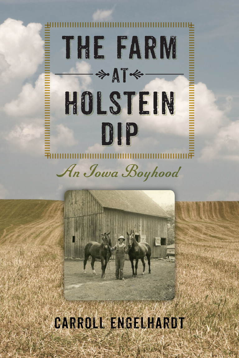 The Farm at Holstein Dip Book Cover
