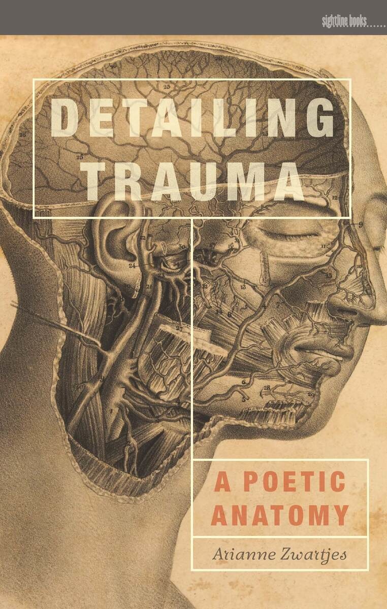 Detailing Trauma book cover