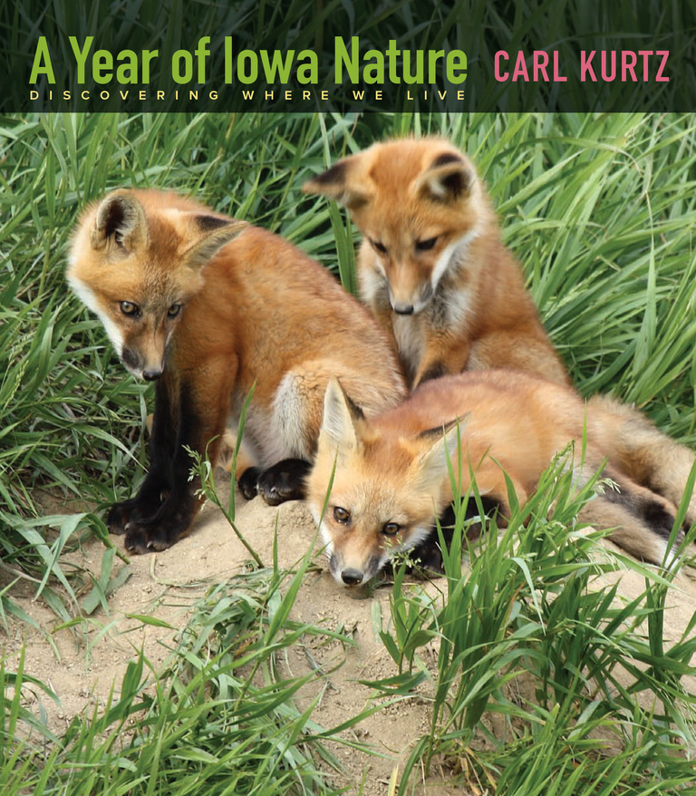 A Year of Iowa Nature Cover