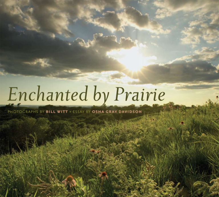 Enchanted Prairie cover