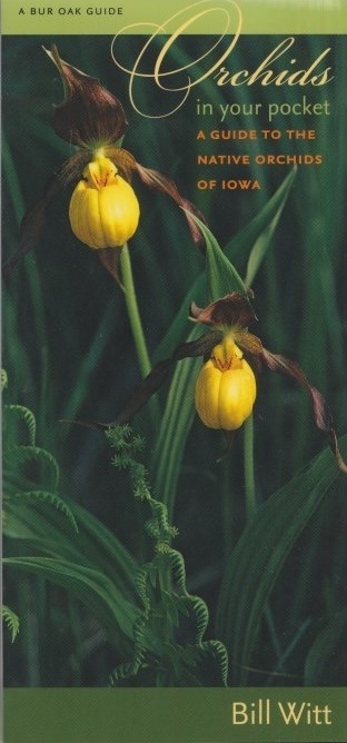 Orchids in your Pocket Cover