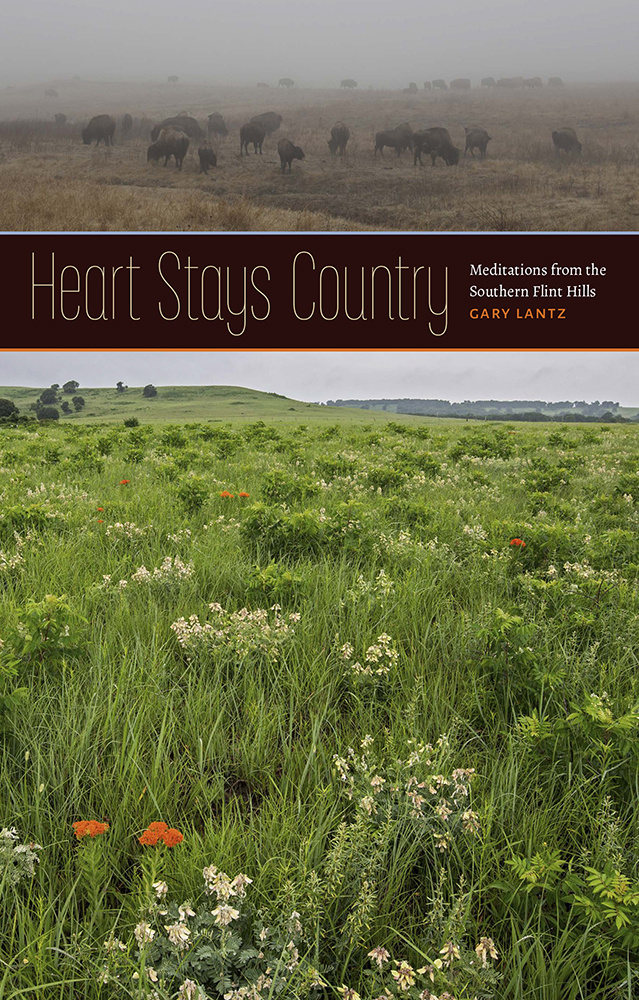 Heart-Stays-Country-Book-Cover.jpg