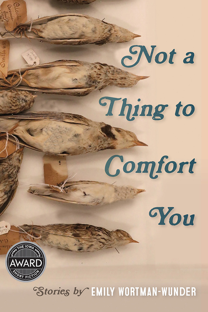 Not-a-Thing-to-Comfort-You-Book-Cover.jpg