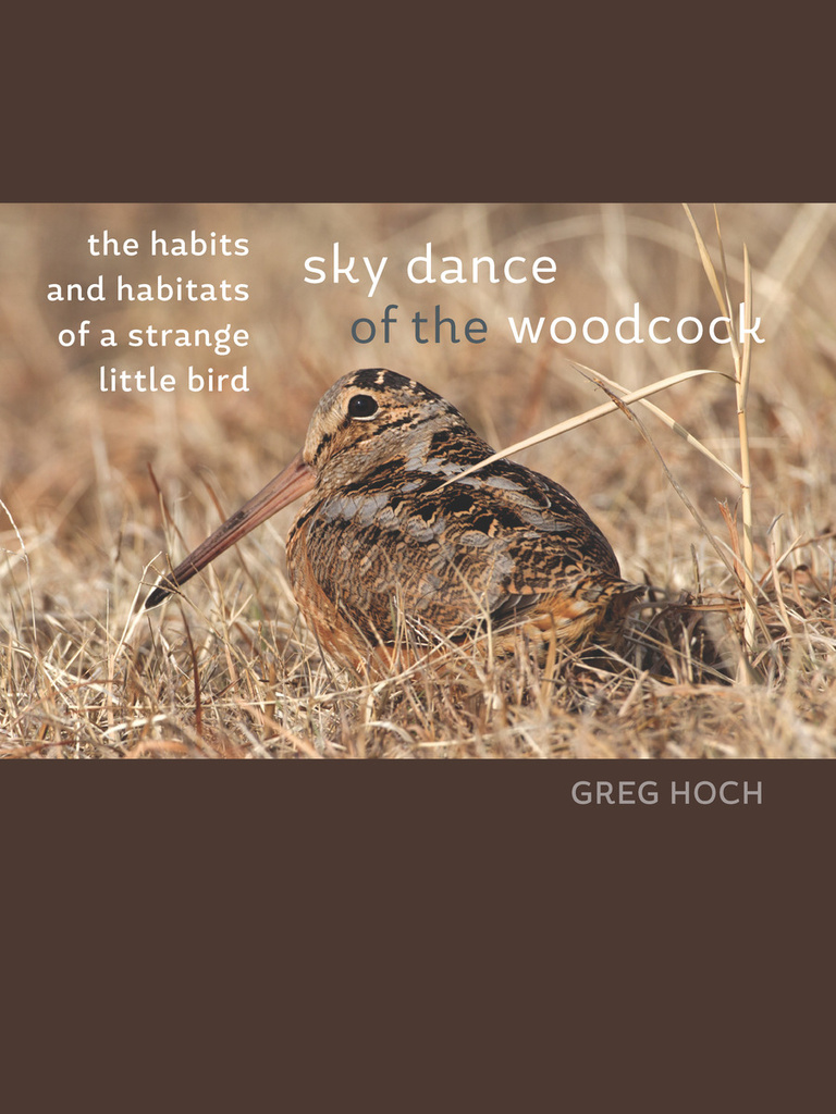 Sky-Dance-of-the-Woodcock-Book-Cover.jpg
