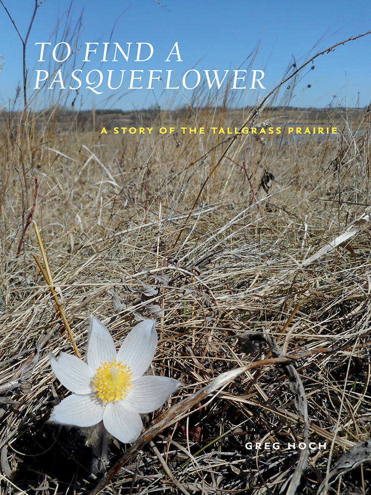 To-Find-a-Pasqueflower-Book-Cover.jpg