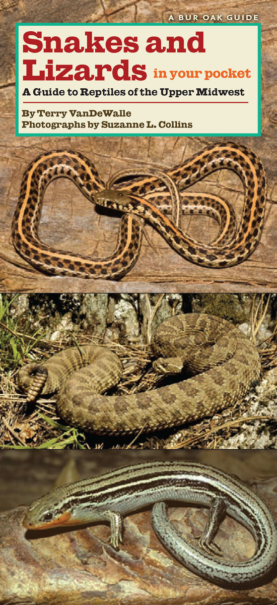 Snakes and Lizards in Your Pocket Book Cover